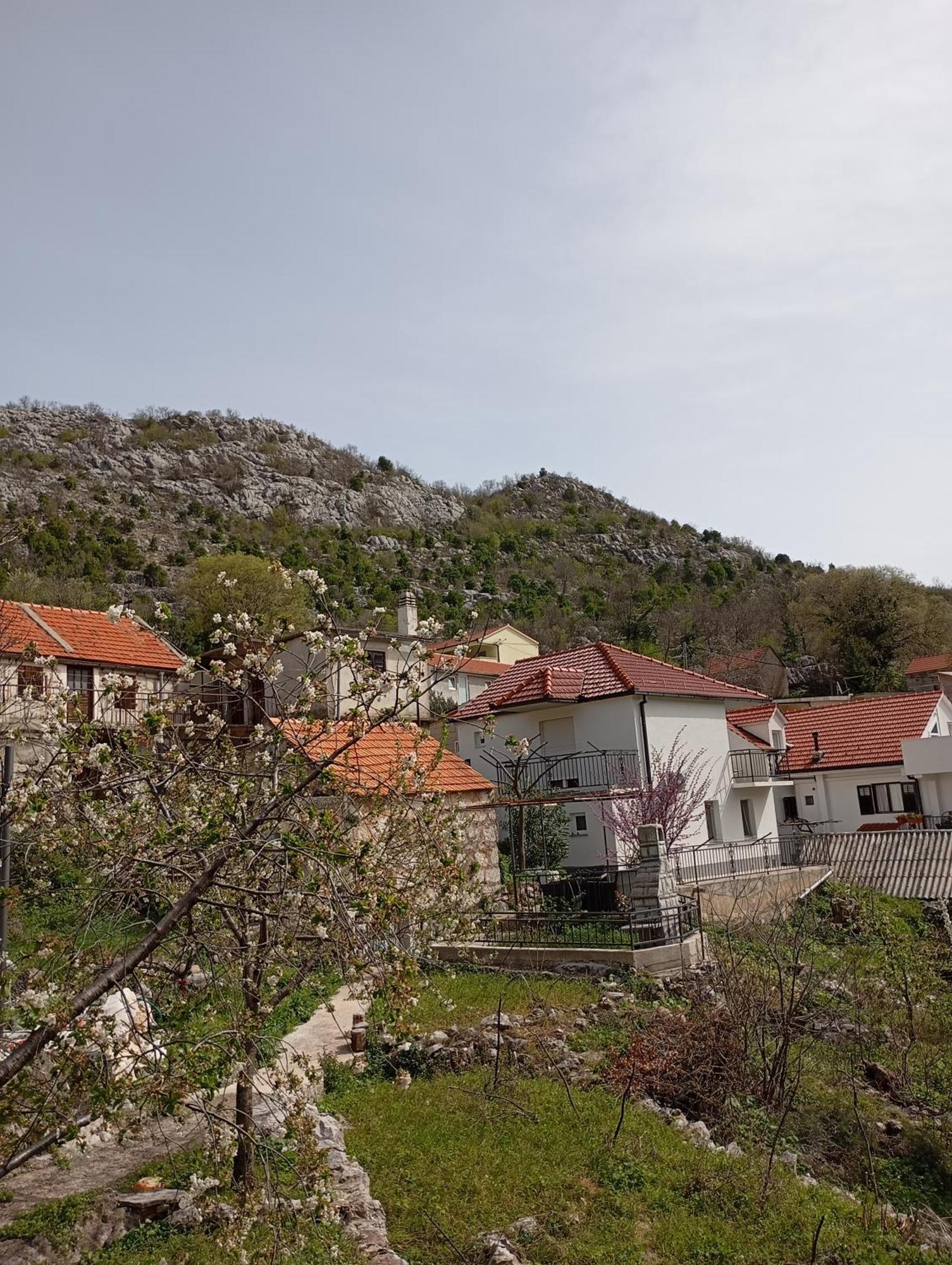 Apartma Maja *